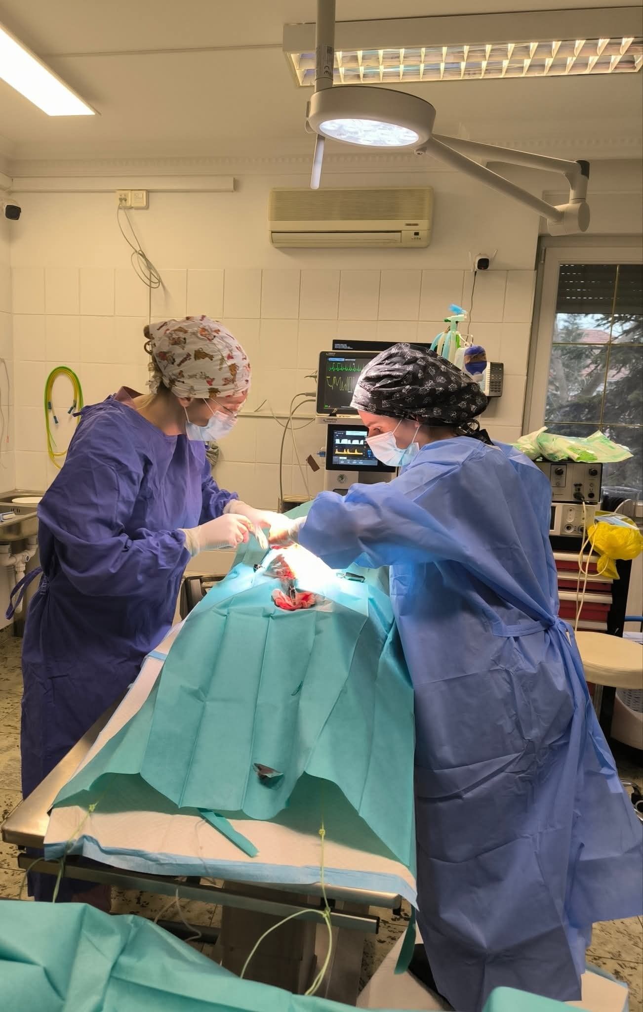 Surgical team during an operation